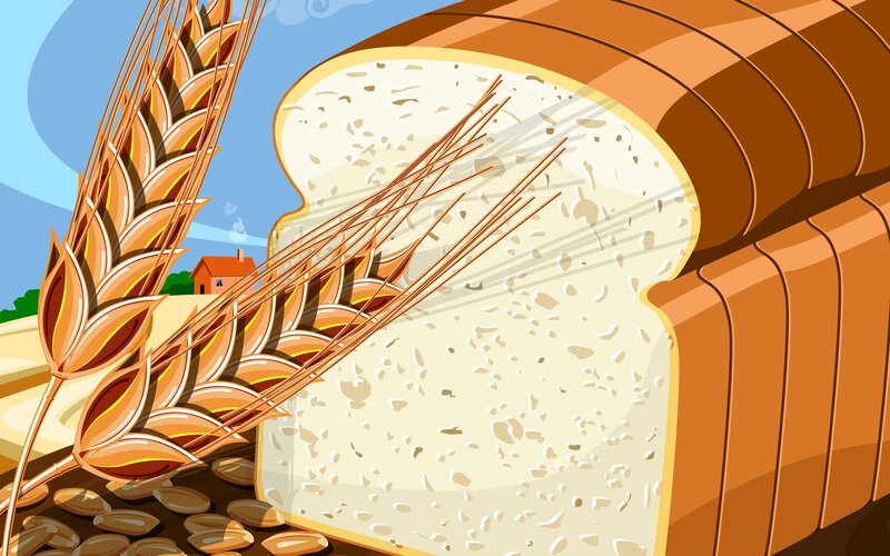 Slice of Bread and Wheat