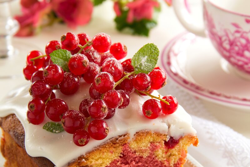 Slice of Cake with Berries — Red