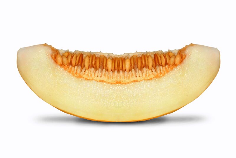slice of cantaloupe melon