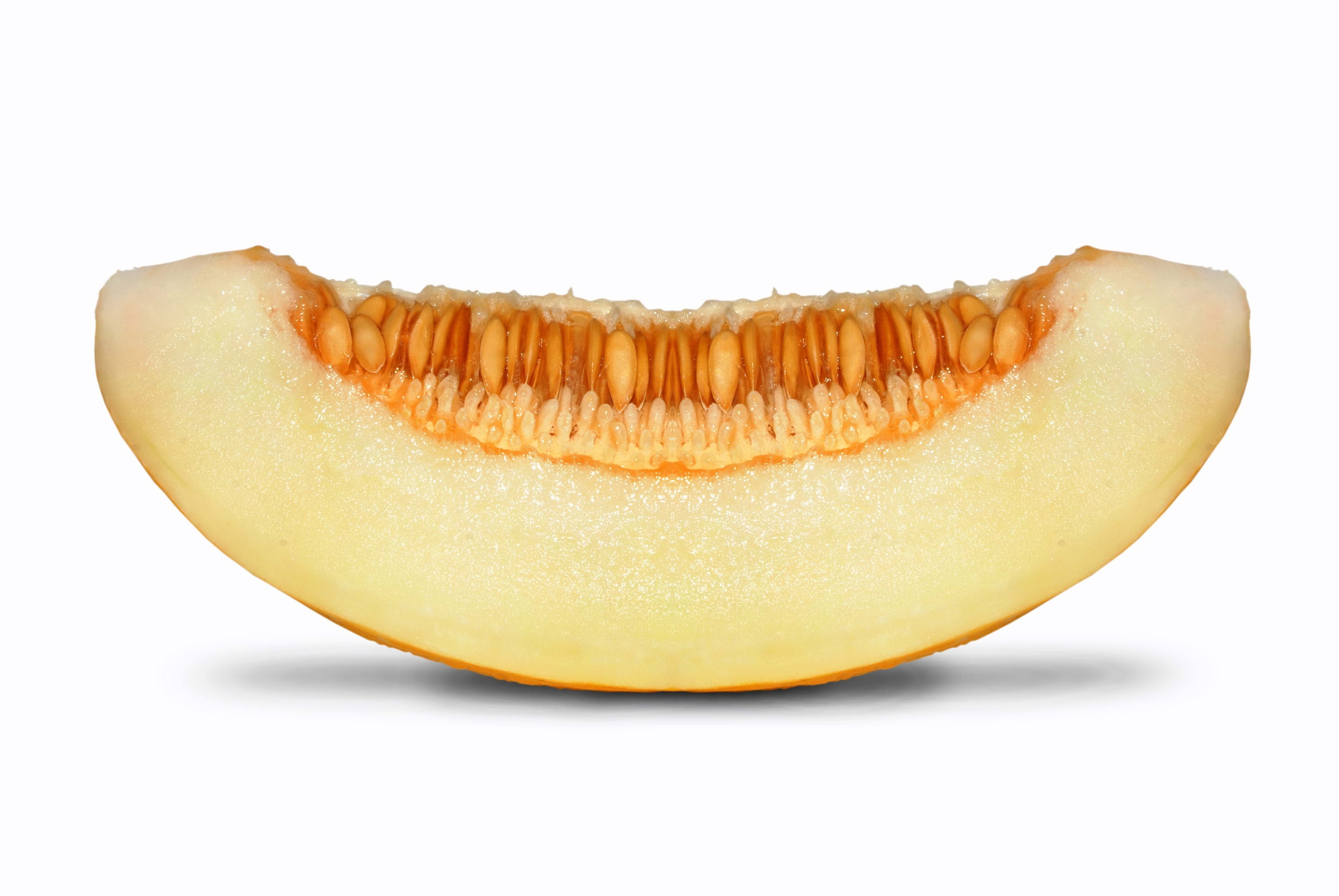 slice of cantaloupe melon