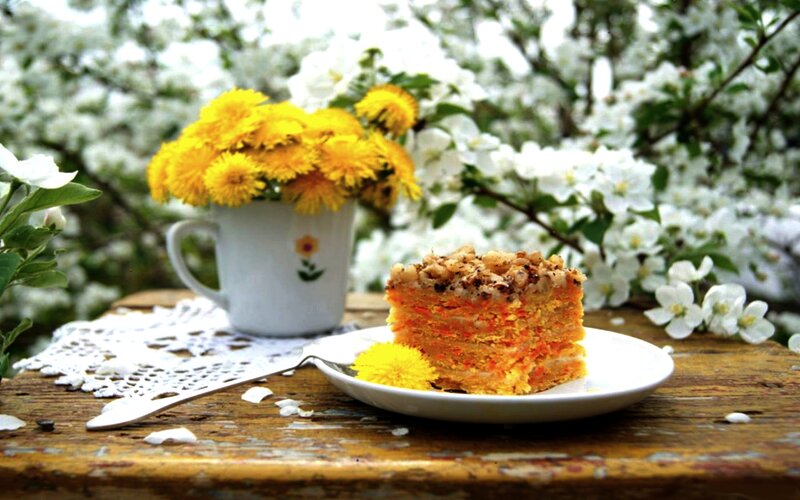 Slice of Carrot Cake — Yellow