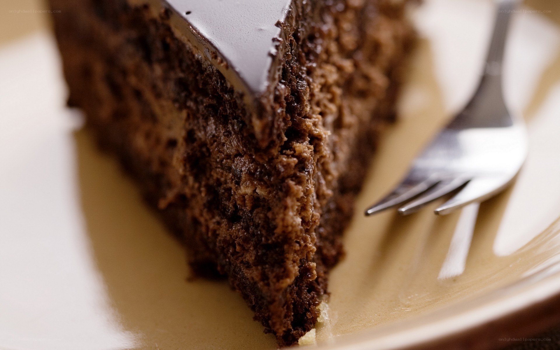 slice of chocolate cake