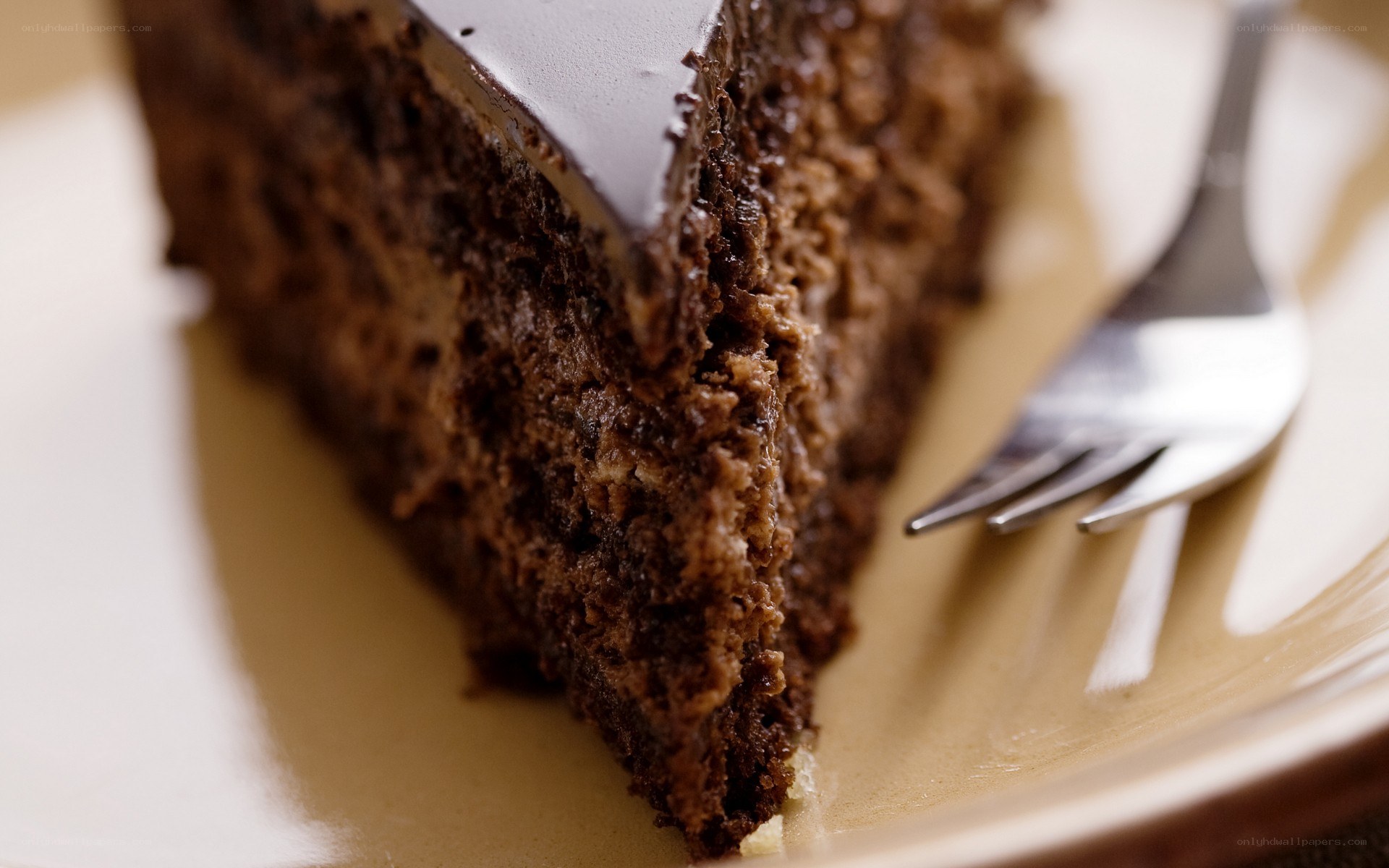 slice of chocolate cake