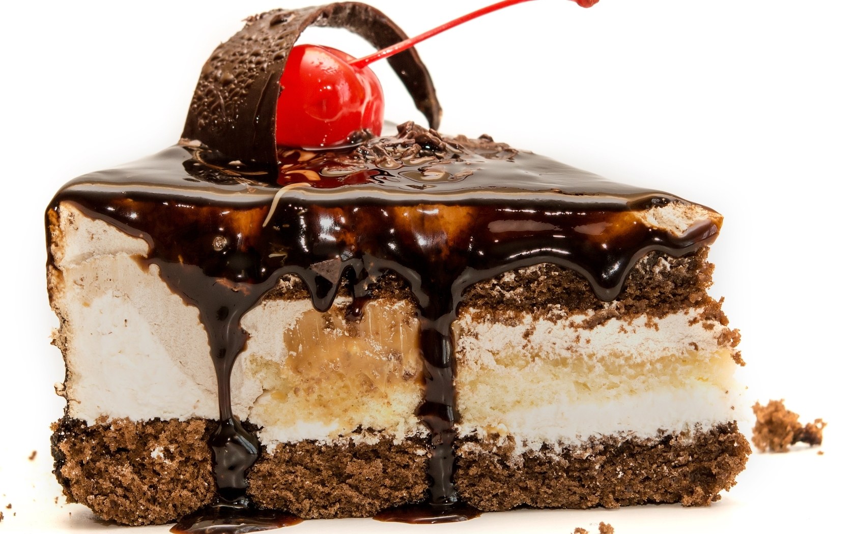 slice of chocolate cake