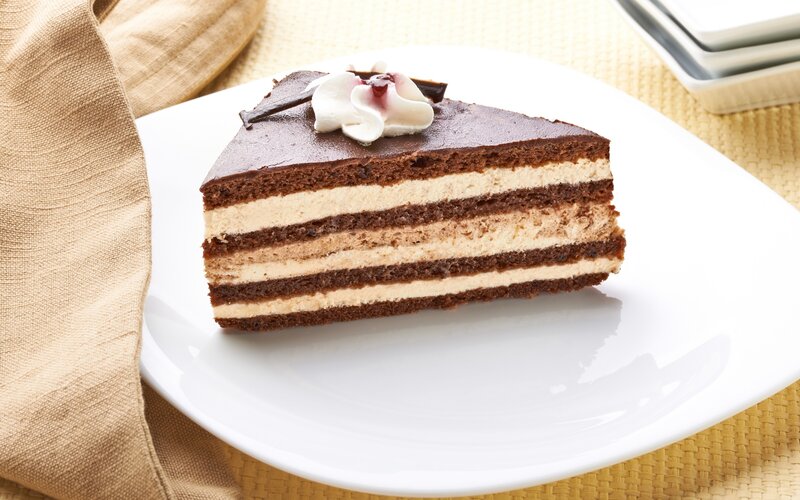 Slice of Chocolate Cake — Brown, Calm, Photograph, Plate