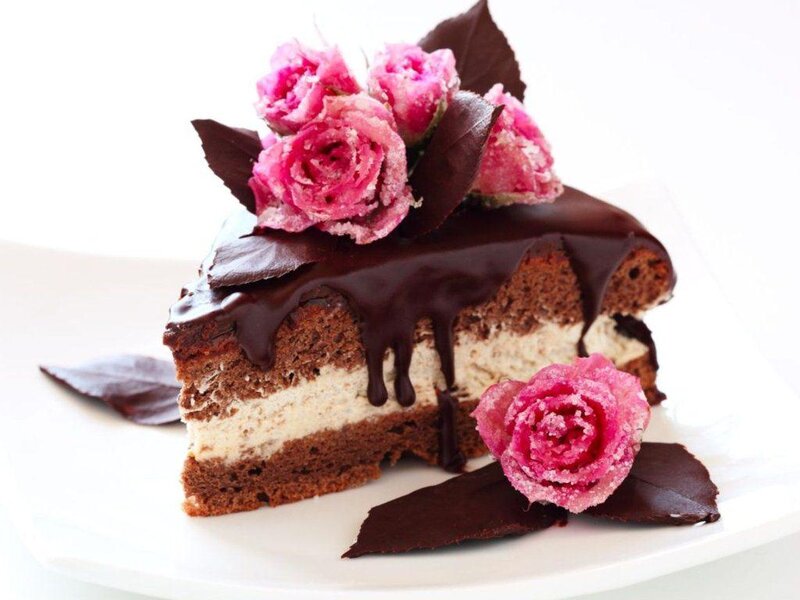 Slice of Chocolate Cake — Brown, Delicate, Photograph, Roses, Chocolate Leaves