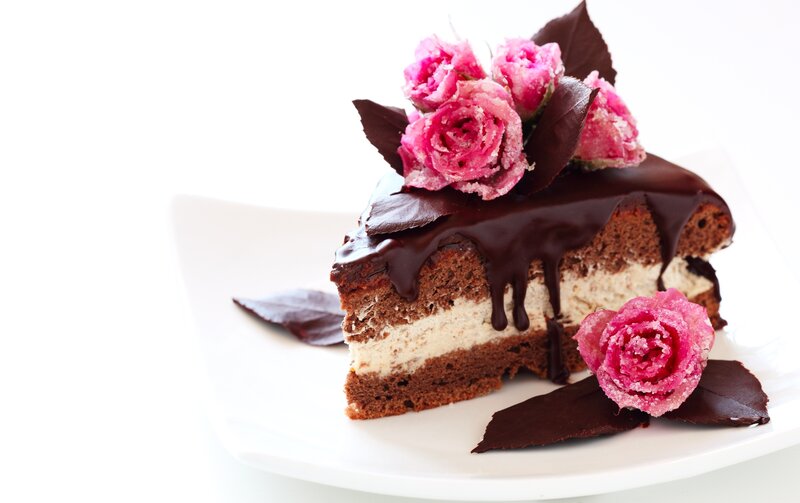 Slice of Chocolate Cake — Brown, Delicate, Photograph, Roses, Cream