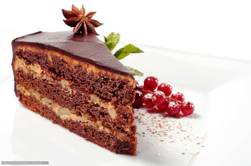 Slice of Chocolate Cake — Brown, Delicate, Photograph, Star Anise