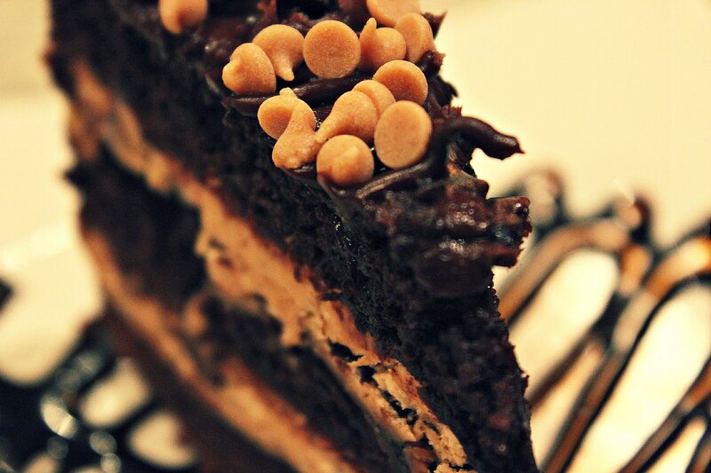 Slice of Chocolate Cake — Brown, Indulgent, Photograph, Chocolate Frosting
