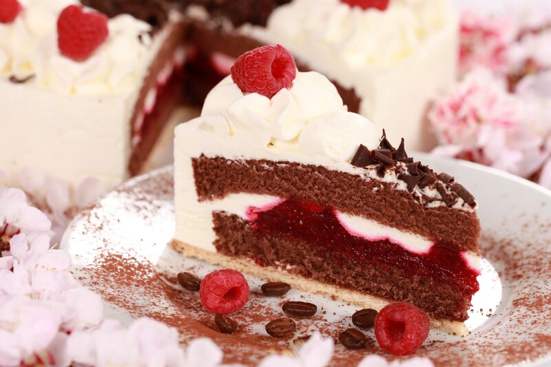 Slice of Chocolate Cake — Brown, Indulgent, Spring