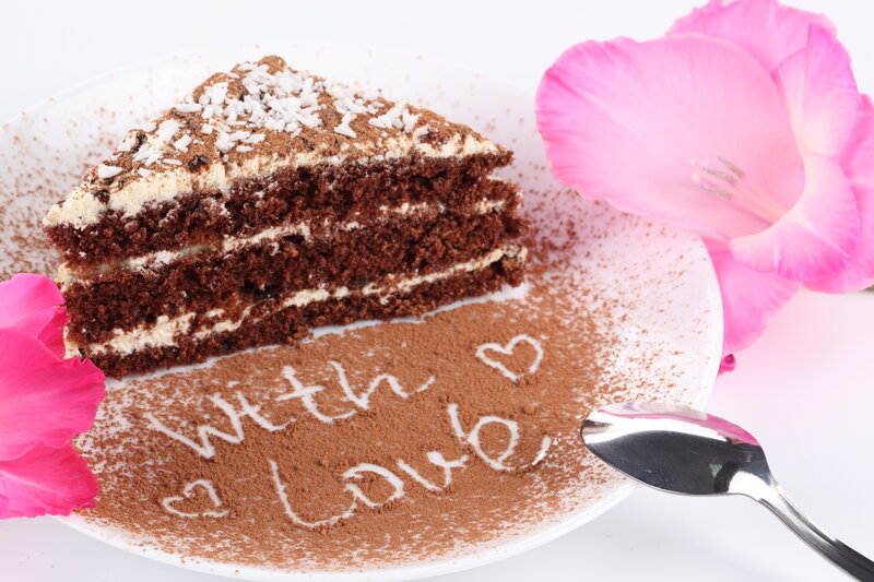 Slice of Chocolate Cake — Brown
