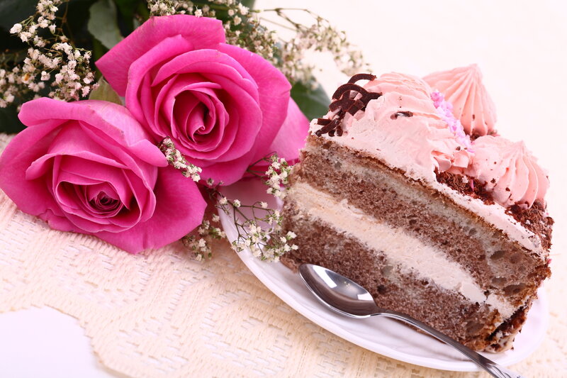 Slice of Chocolate Cake — Pink