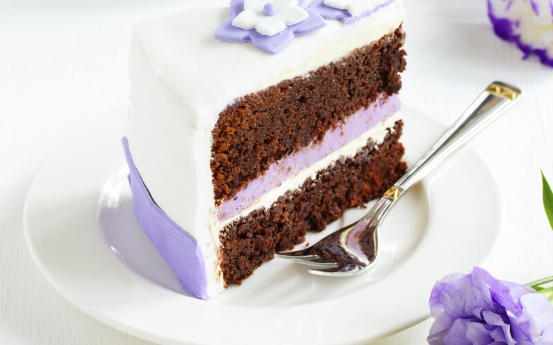 Slice of Chocolate Cake — White, Calm, Photograph, Fork