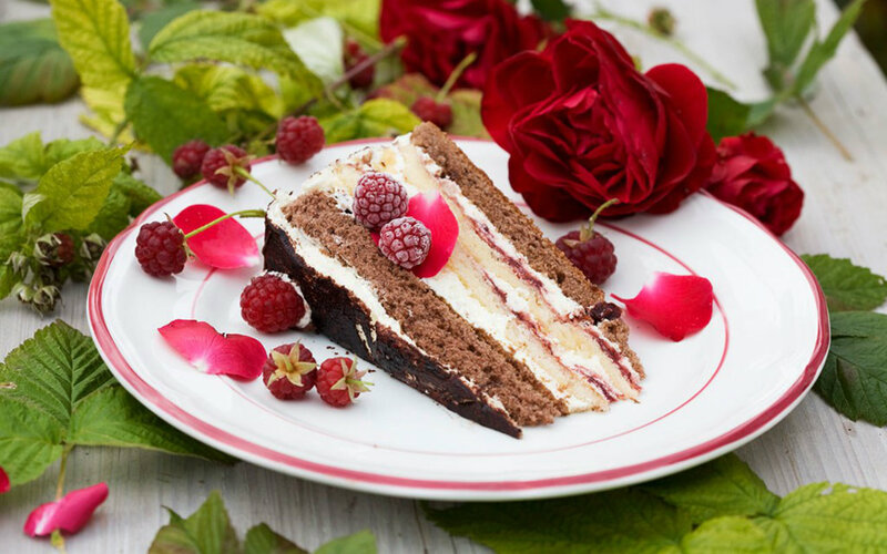 Slice of Chocolate Cake — White, Elegant
