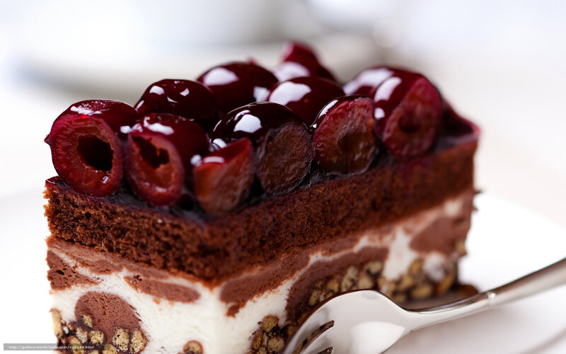 Slice of Chocolate Cherry Cake — Brown, Appetizing, Photograph