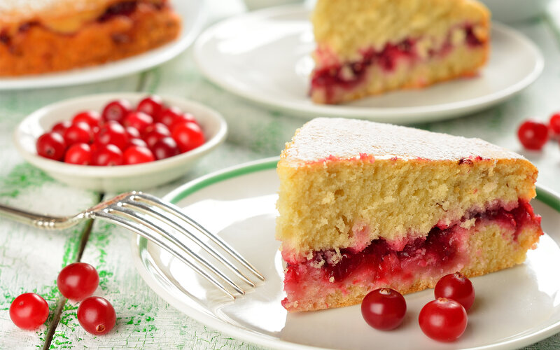 Slice of Cranberry Cake — White, Appetizing, Photograph