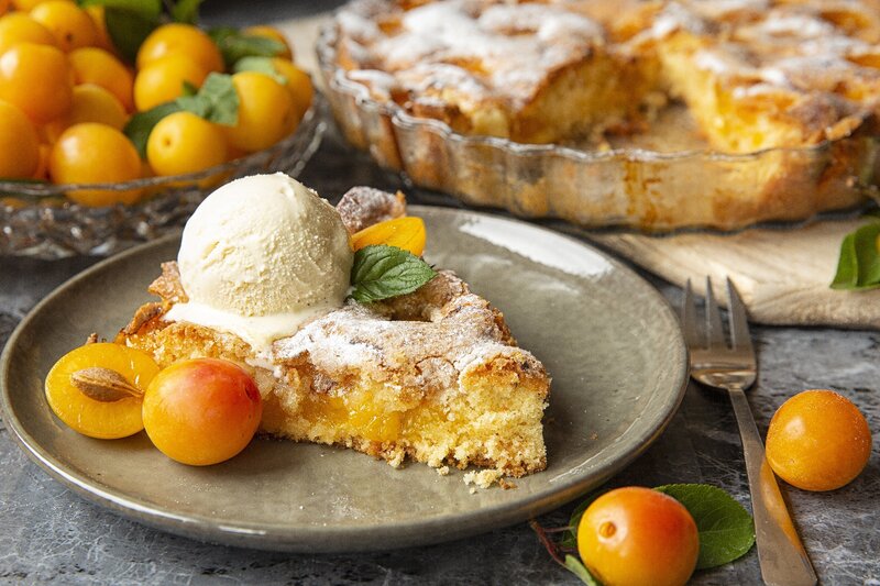 Slice of Plum Cake