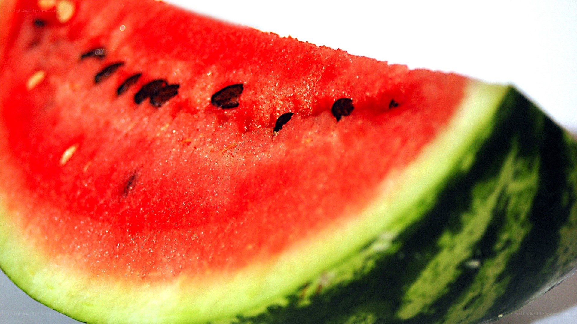 slice of watermelon fruit