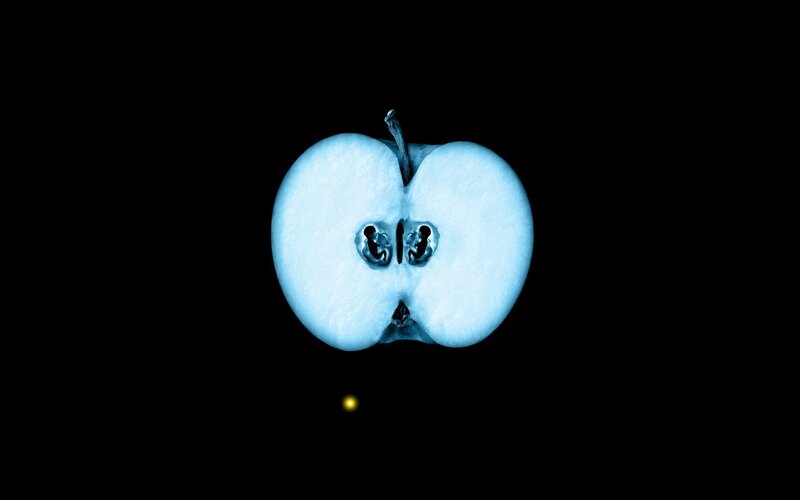Sliced Apple Cross-section