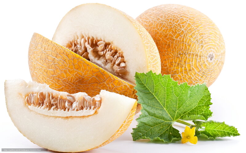 sliced cantaloupe with leaves