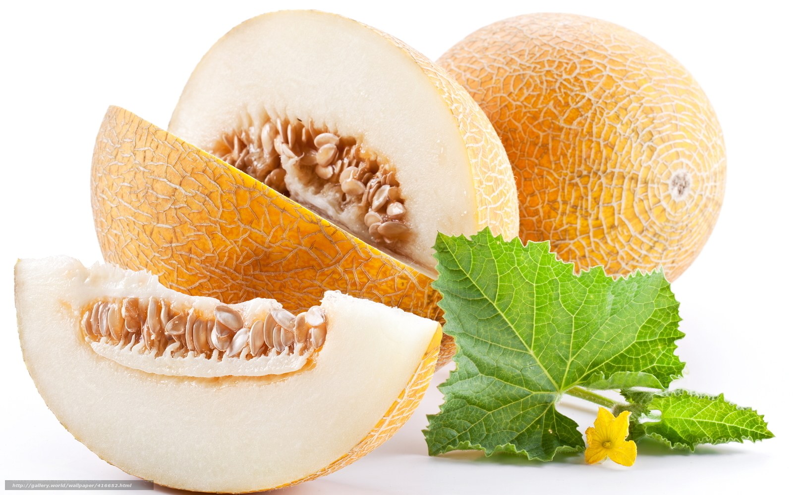sliced cantaloupe with leaves