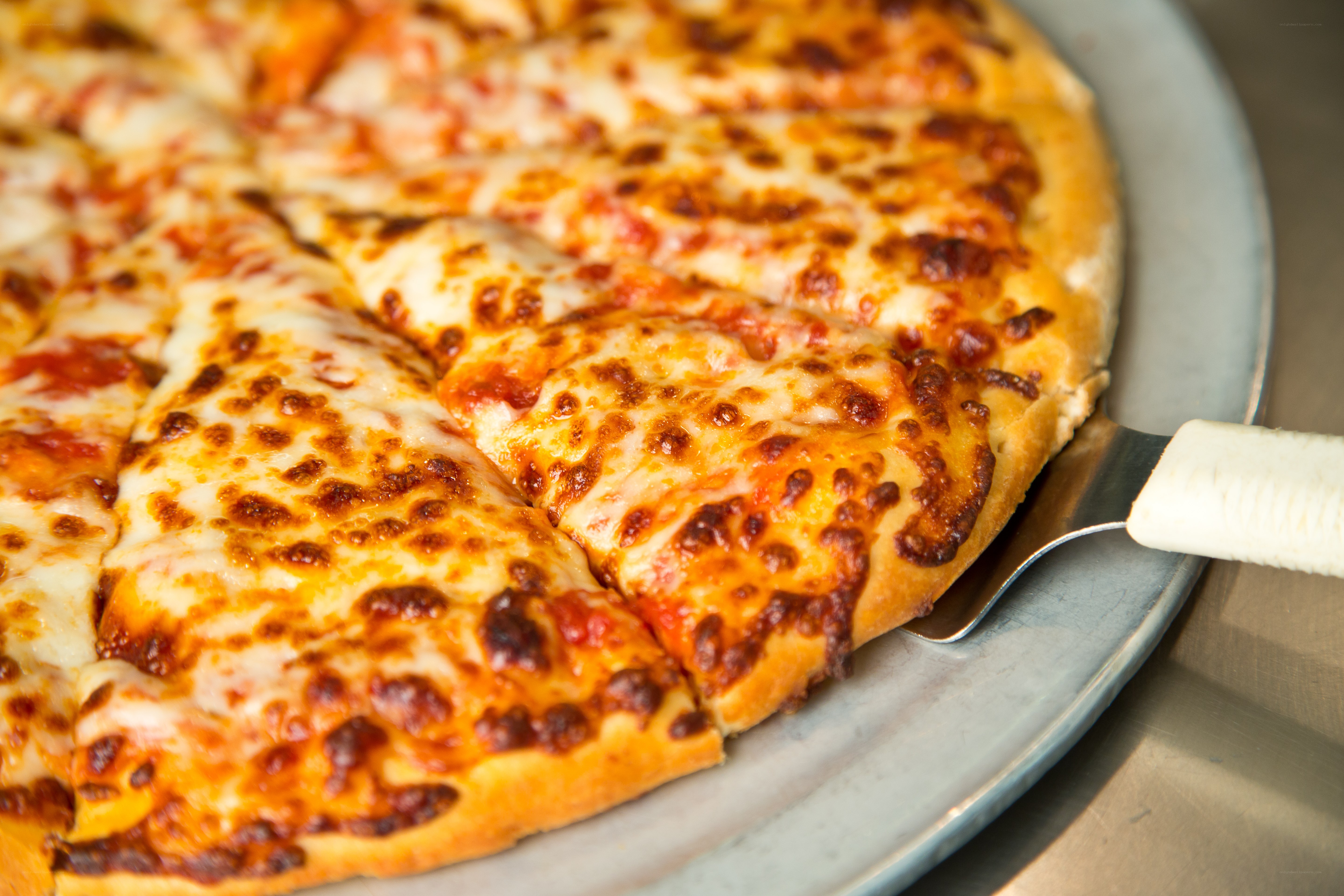 Sliced cheese pizza on tray