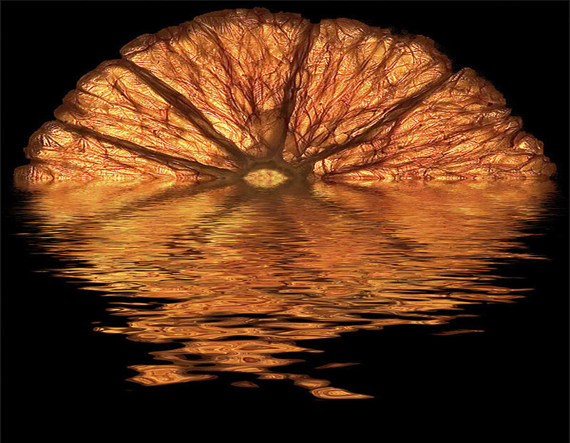 Sliced Citrus Fruit