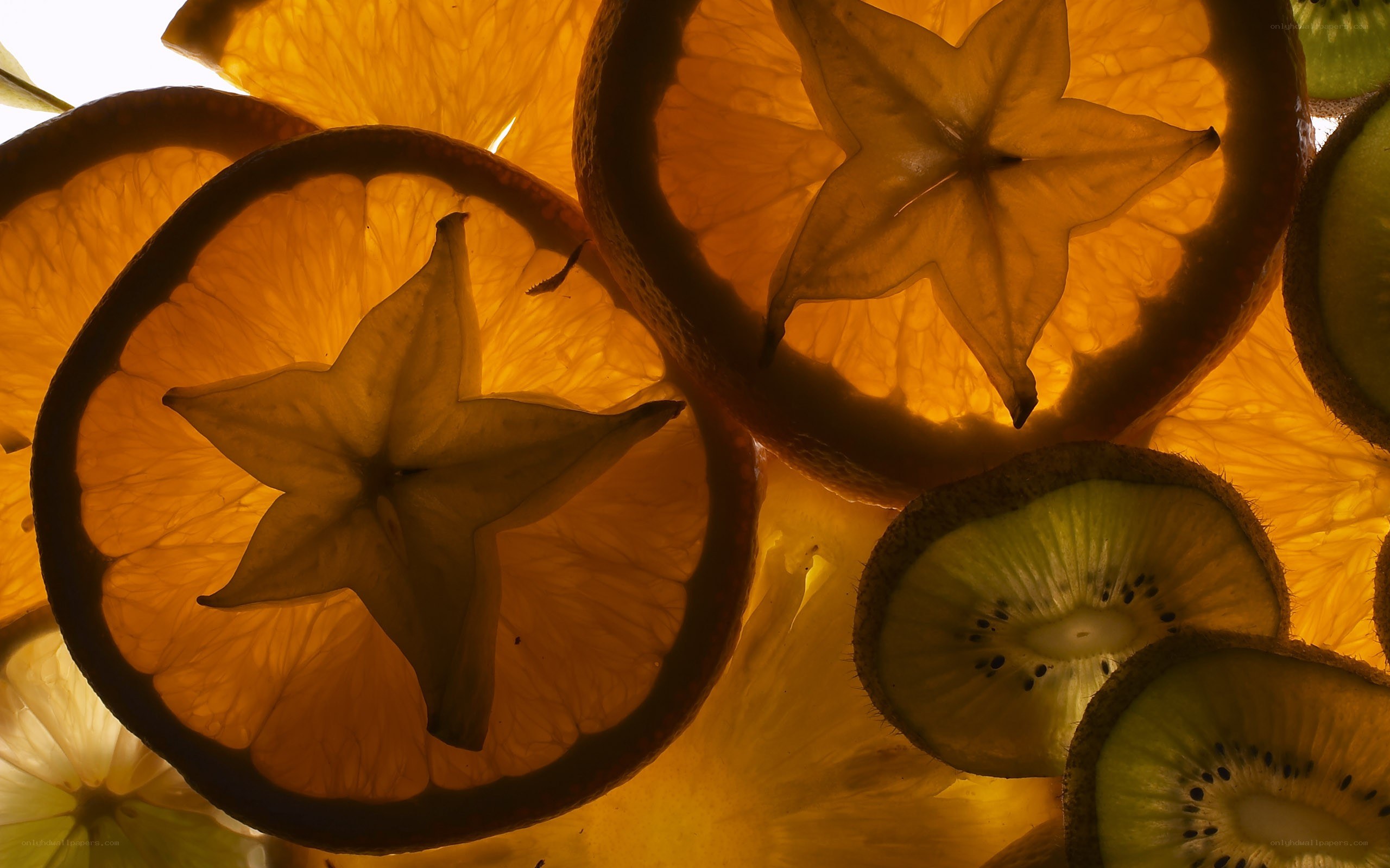 sliced fruits in backlight