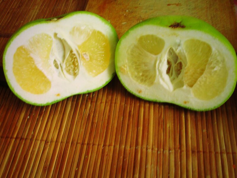 sliced green citrus fruit