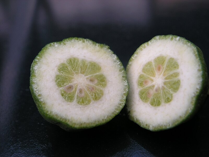 Sliced Green Citrus Fruit — Neutral