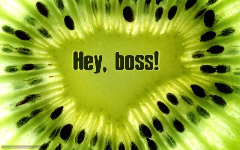 Sliced Kiwi Fruit — Green, Vibrant, Photograph