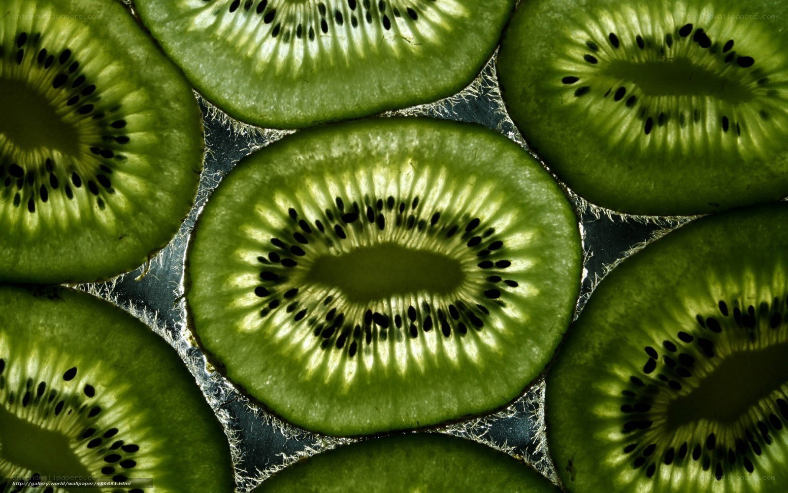 sliced kiwi fruit pattern
