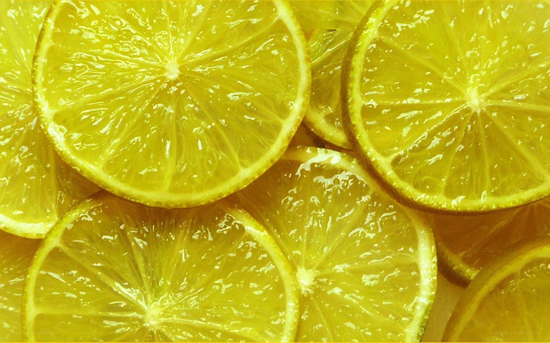 sliced lemons close-up