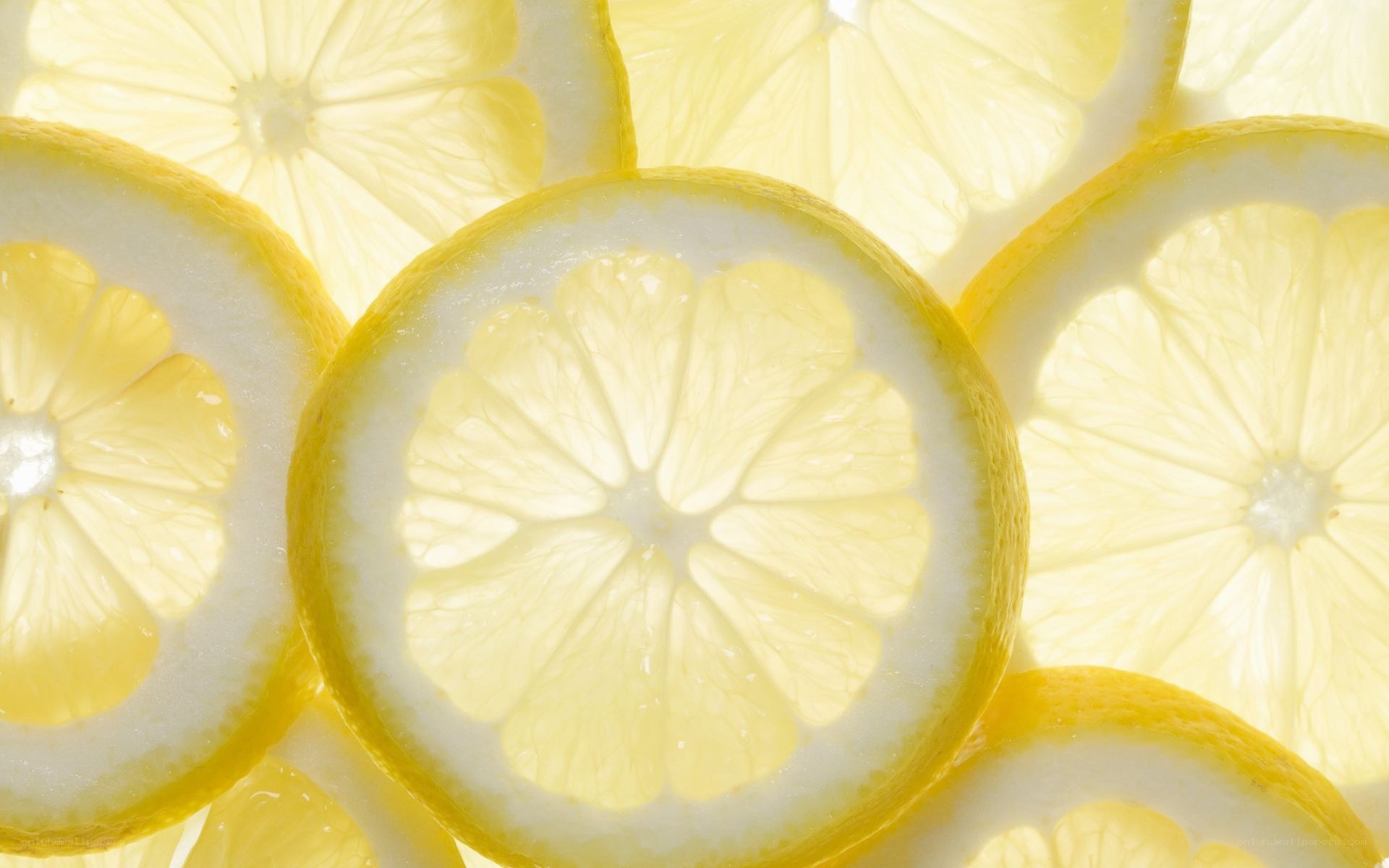 sliced lemons close-up