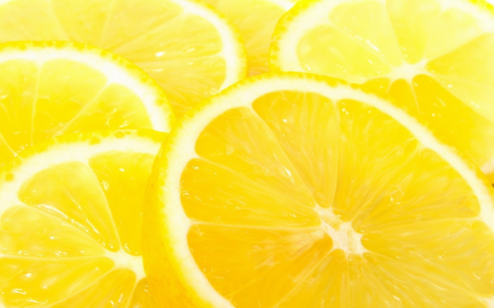 sliced lemons close-up
