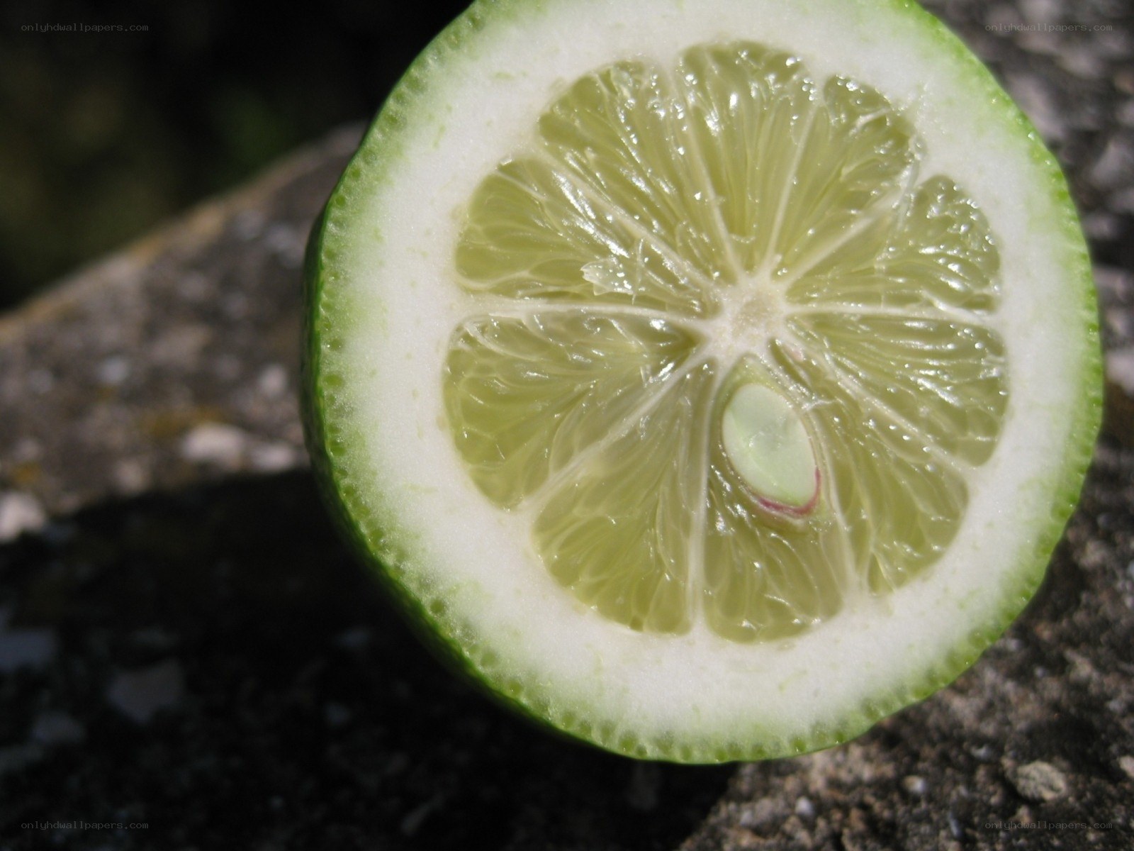 sliced lime cross-section