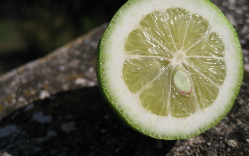 sliced lime on stone