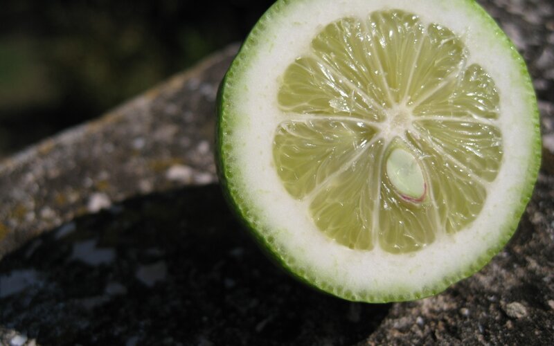 Sliced Lime on Stone — Green