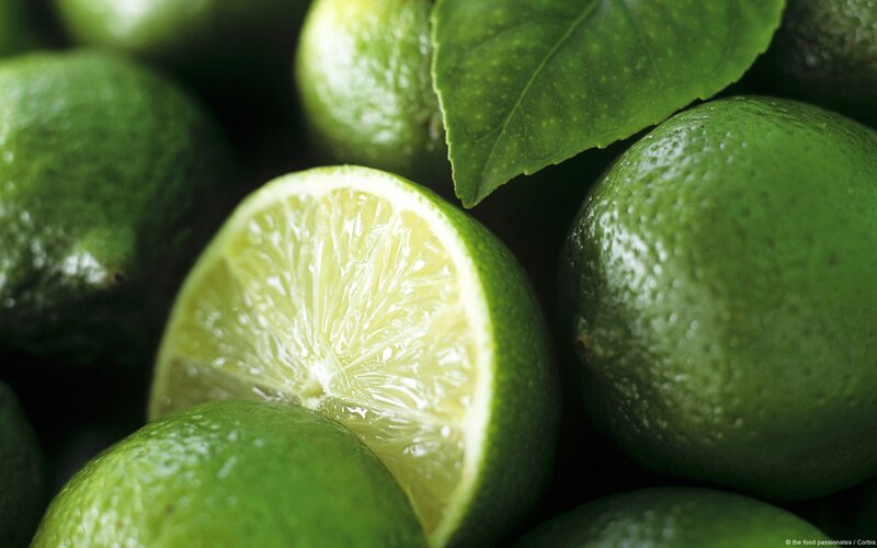 Sliced Lime with Leaves — Green
