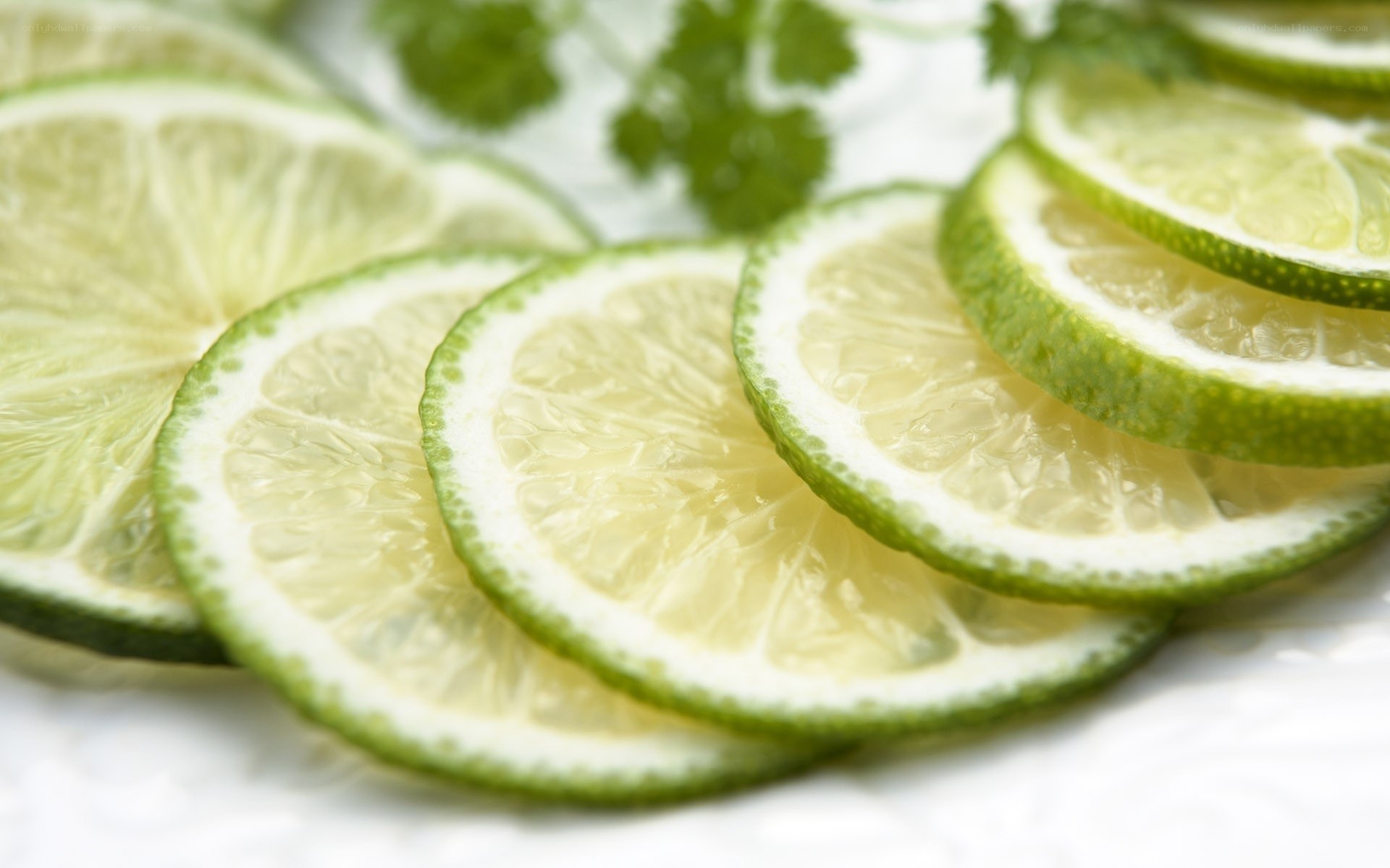 Sliced limes with cilantro