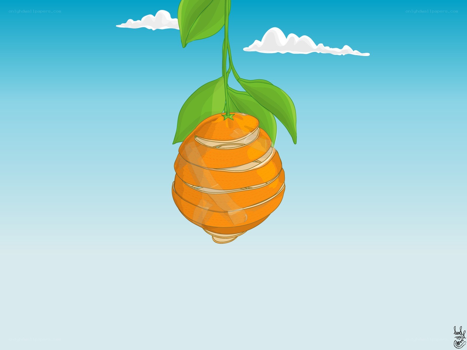 Sliced orange hanging from a branch