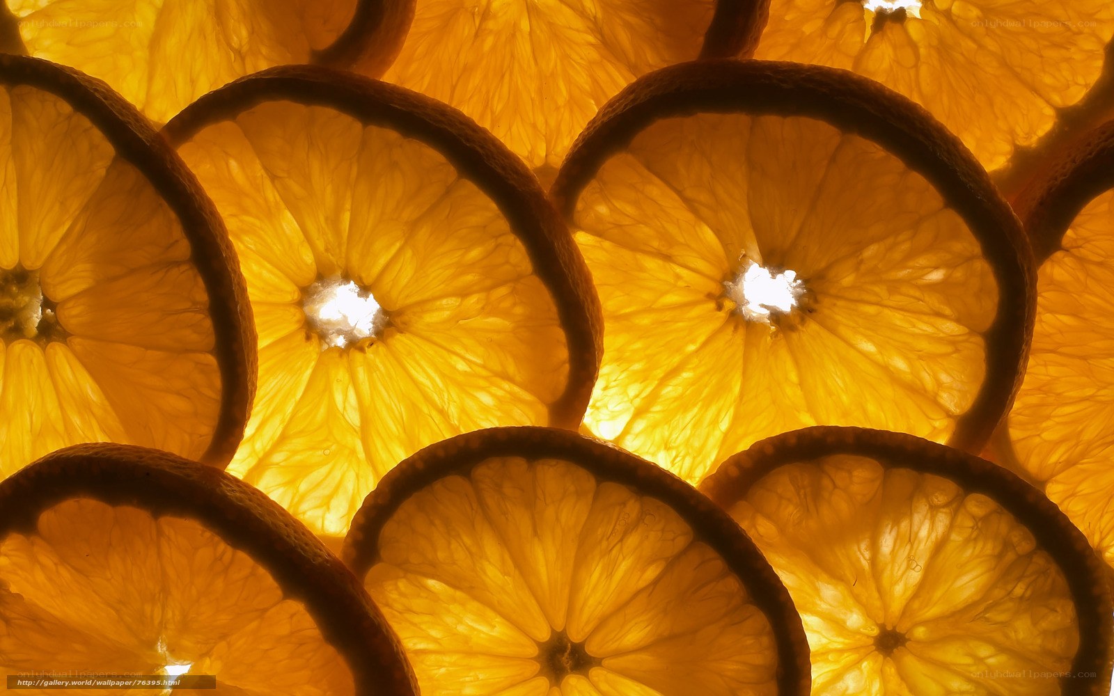 sliced oranges in backlight