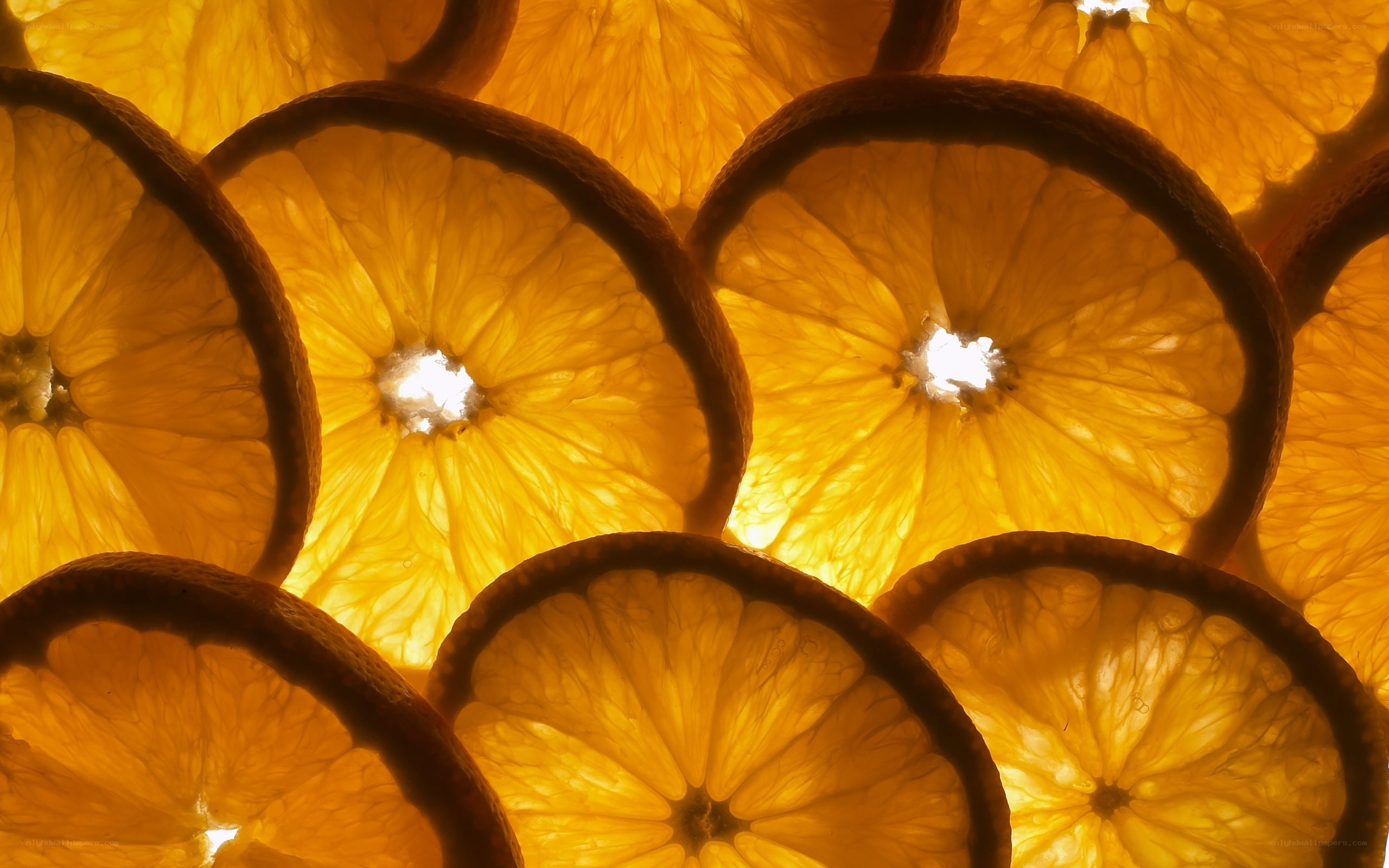 Sliced oranges in sunlight