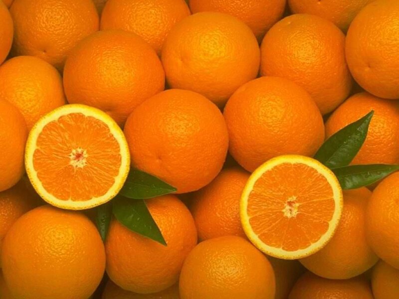 Sliced Oranges with Leaves