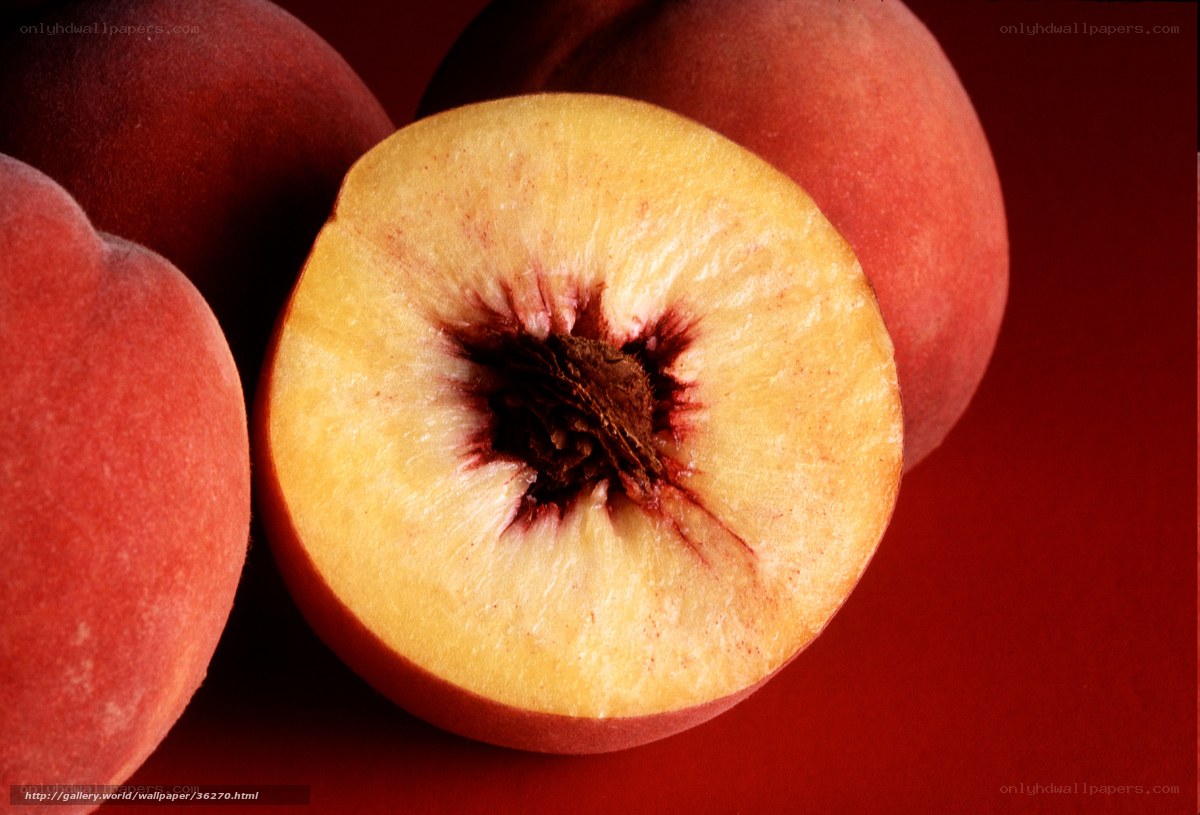 Sliced peach on red background