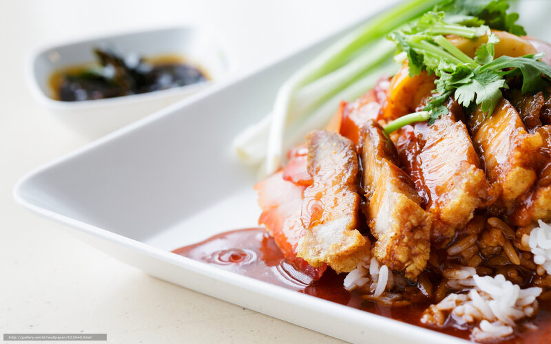 Sliced Pork over Rice