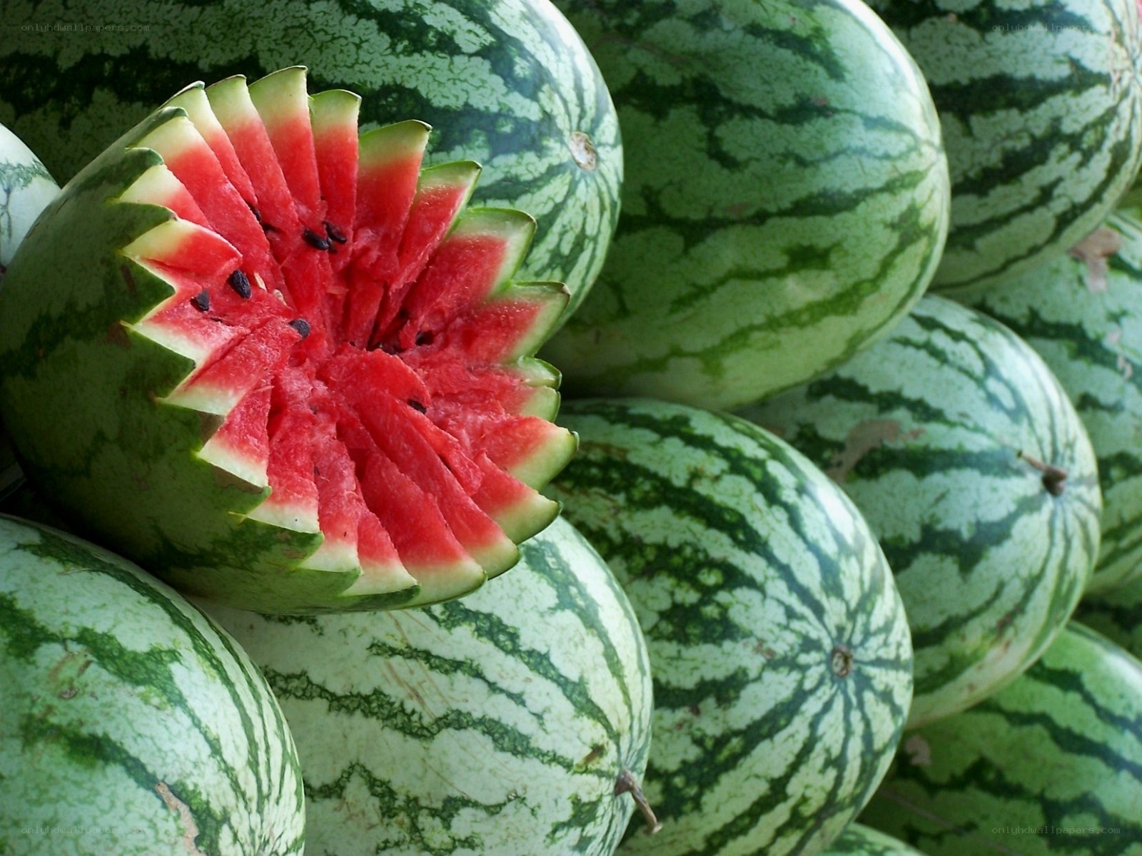Sliced watermelon among whole ones