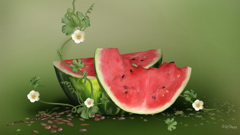 Sliced Watermelon with Vines
