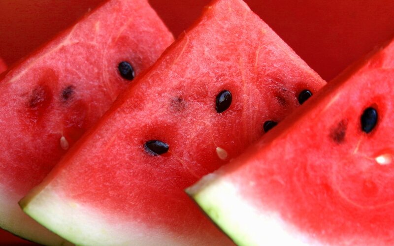 slices of watermelon fruit