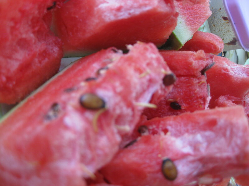 slices of watermelon fruit